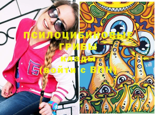 кокс Няндома