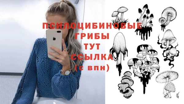 прущий лед Осташков