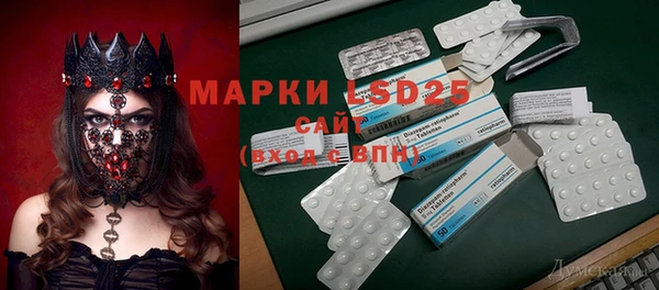 крисы Губаха