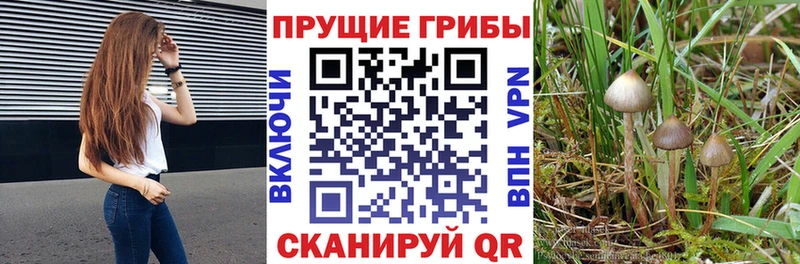 Галлюциногенные грибы MAGIC MUSHROOMS Сатка