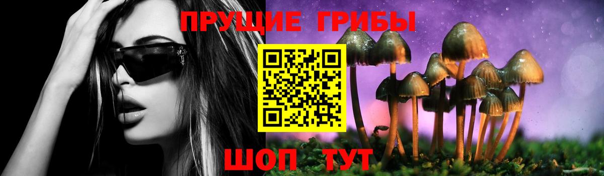 Галлюциногенные грибы Cubensis  Вход с VPN  Сатка 